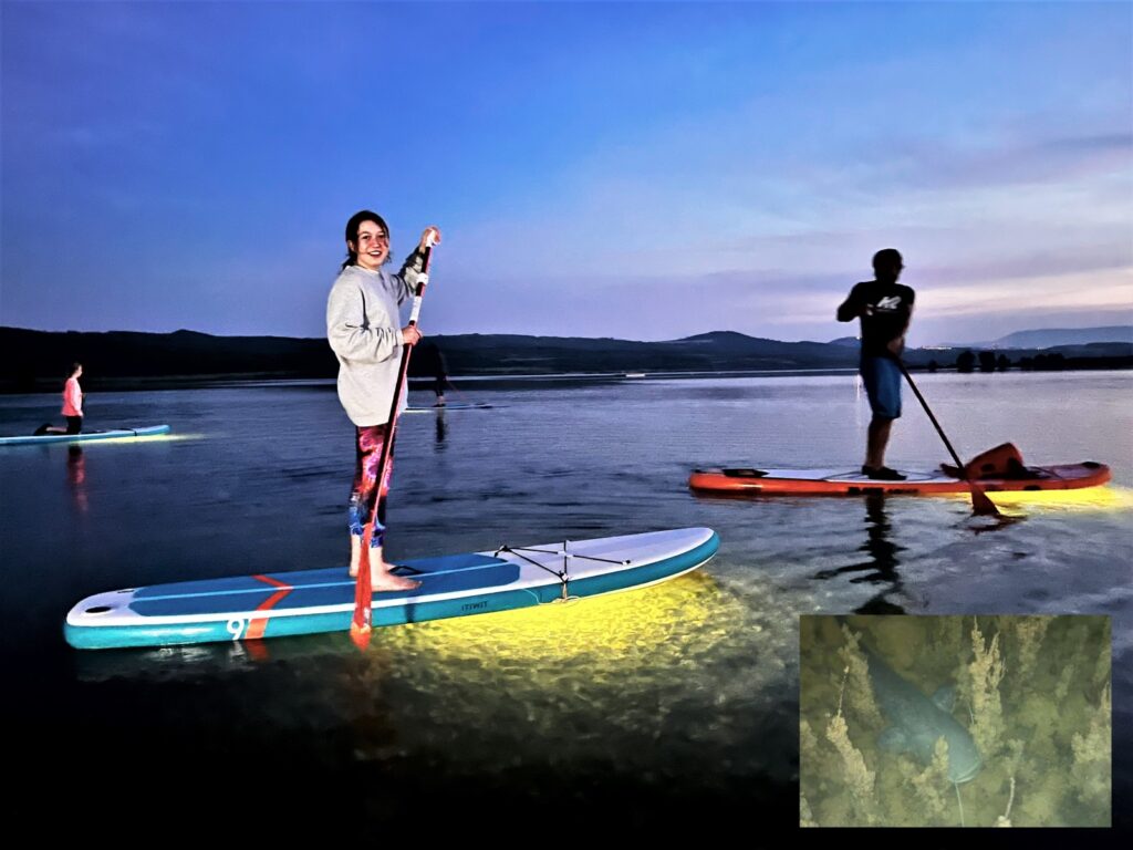 paddleboard2 paddleboard2